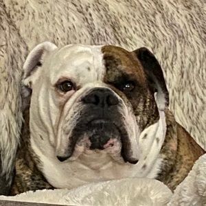 Meet your Posher, Robert